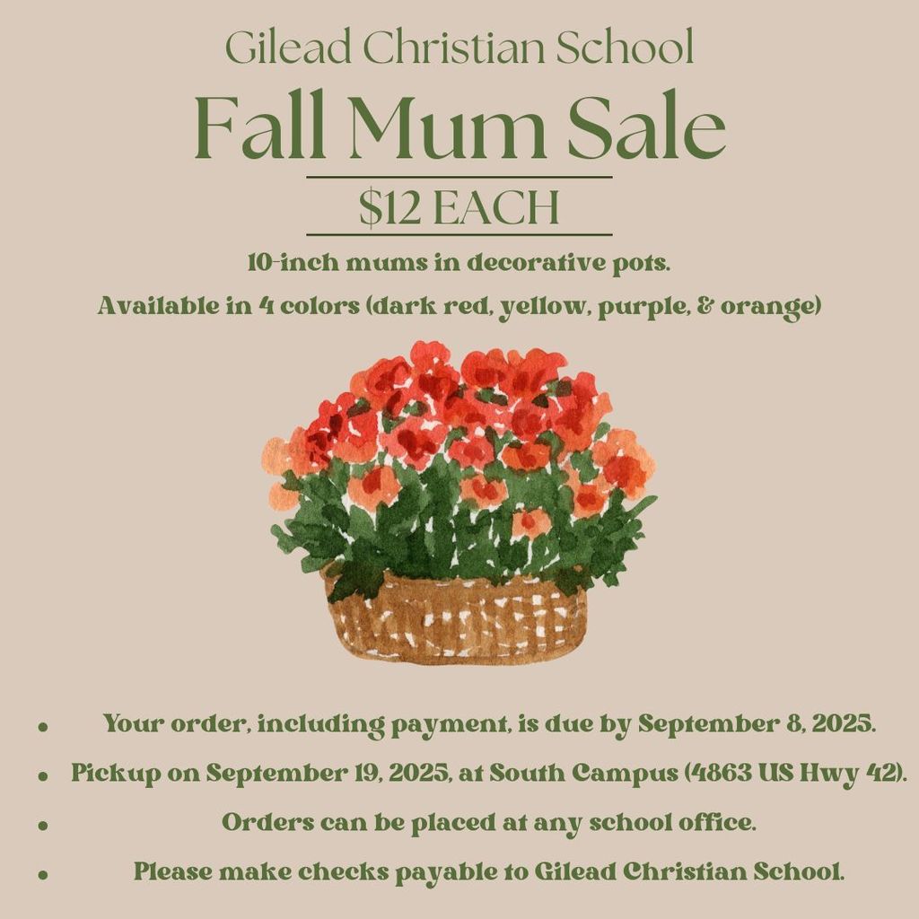Fall Mum Sale