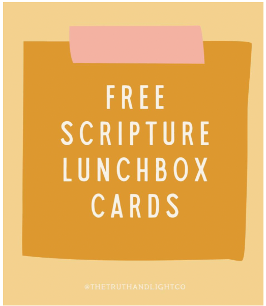 Lunchbox Cards