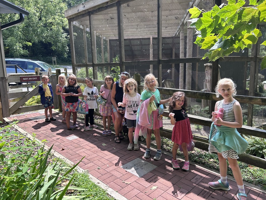 Summer day camp