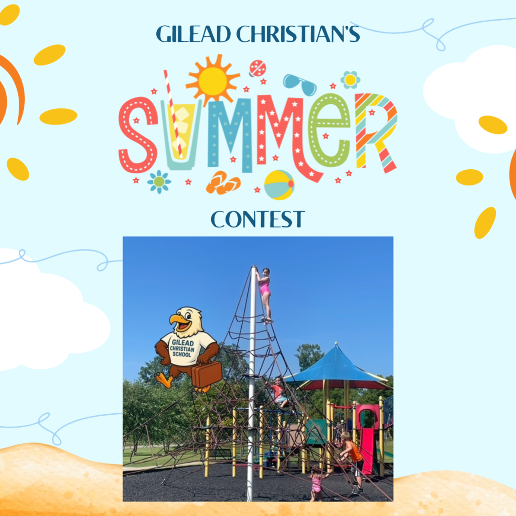 Summer Contest