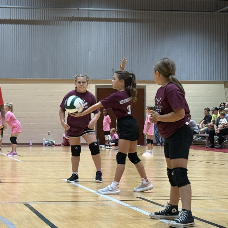 Elementary Volleyball 