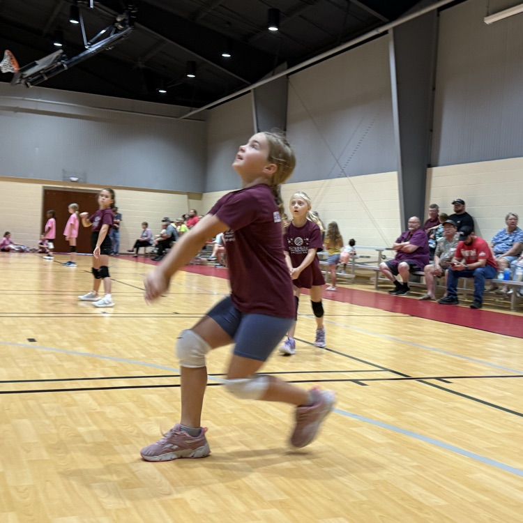 Elementary Volleyball 