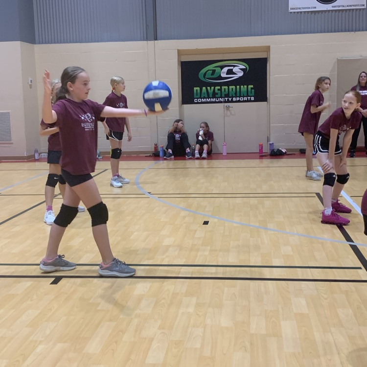 Elementary Volleyball 