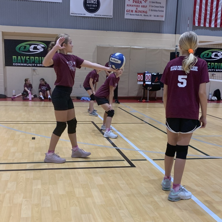Elementary Volleyball 