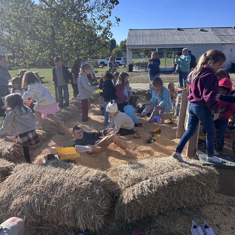 apple orchard
