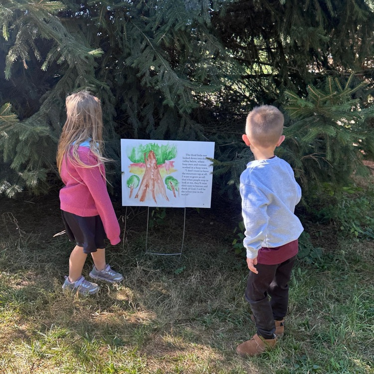 apple orchard
