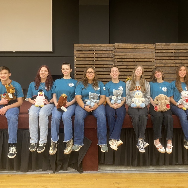 Joint Service Project OSA 1