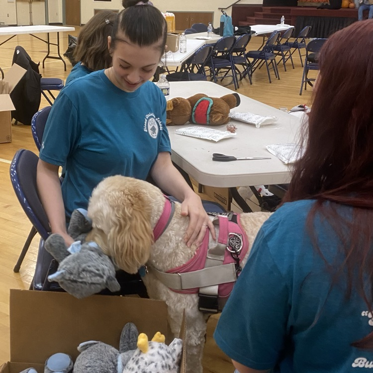 Joint Service Project OSA 2