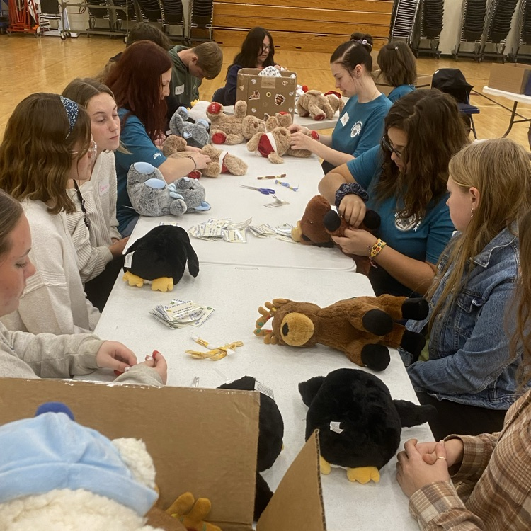 Joint Service Project OSA 4