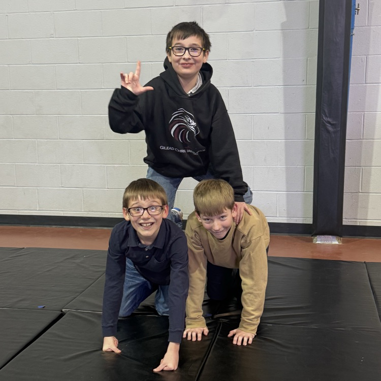 North Campus Gym Show