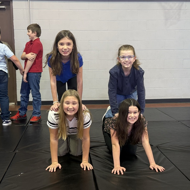 North Campus Gym Show