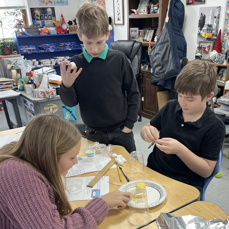 Mallory Andrew Walker