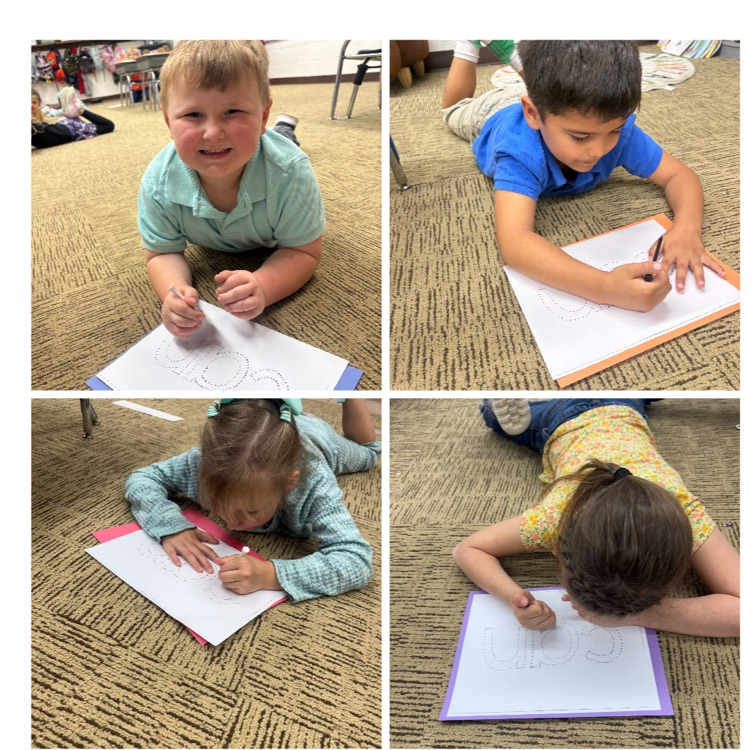sentences and fine motor 
