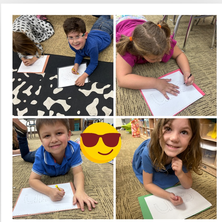 sentences and fine motor 