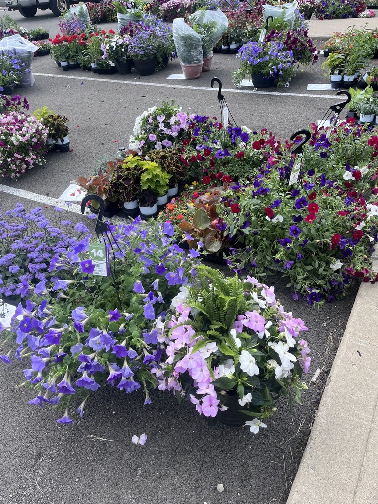 flower sale