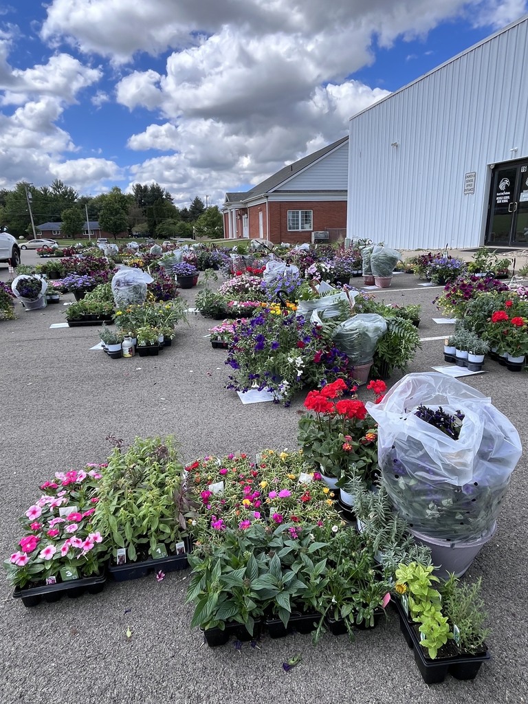 flower sale
