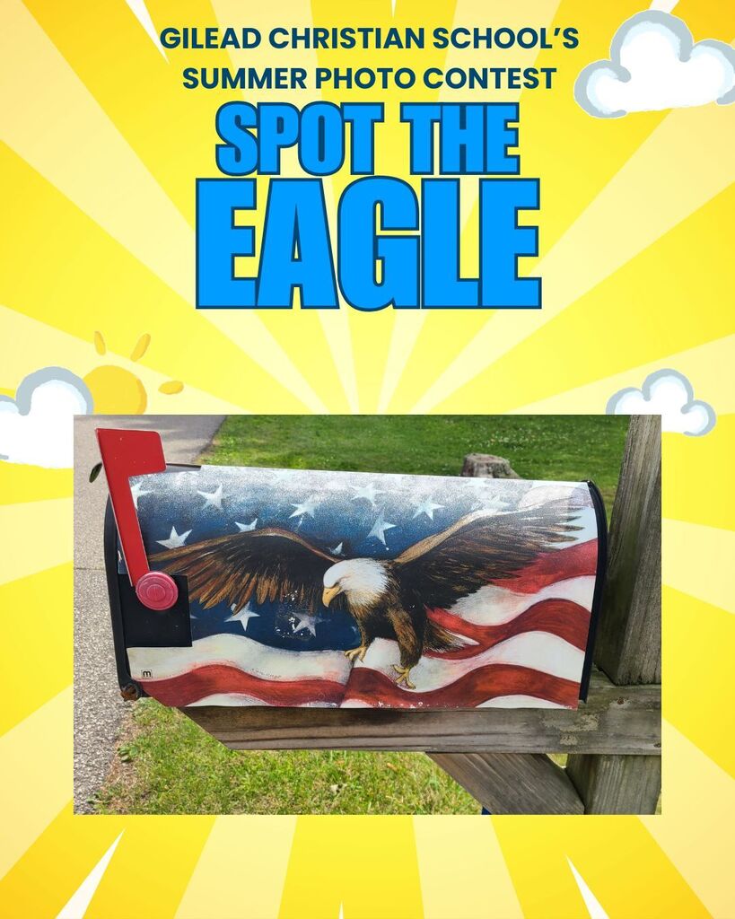 Summer Contest