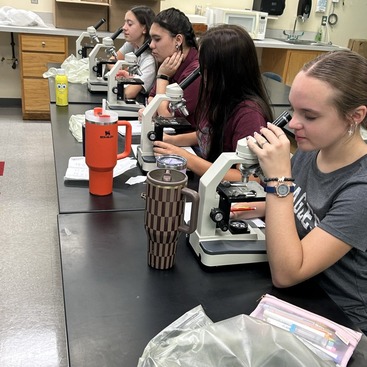 biology class