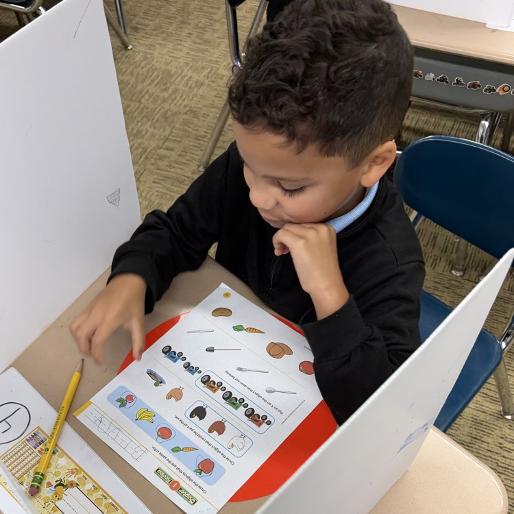 Mrs.G class practiced using privacy folders.