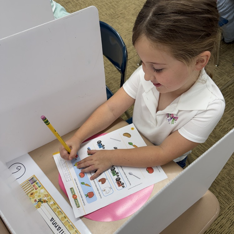 Mrs.G class practiced using privacy folders.