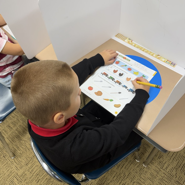 Mrs.G class practiced using privacy folders.
