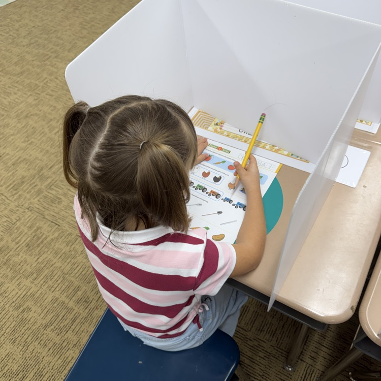 Mrs.G class practiced using privacy folders.