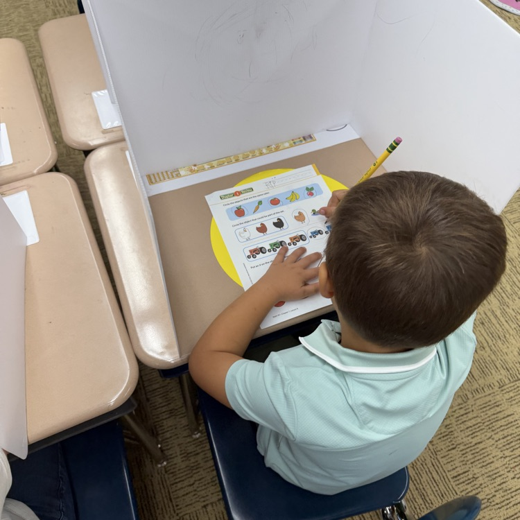 Mrs.G class practiced using privacy folders.