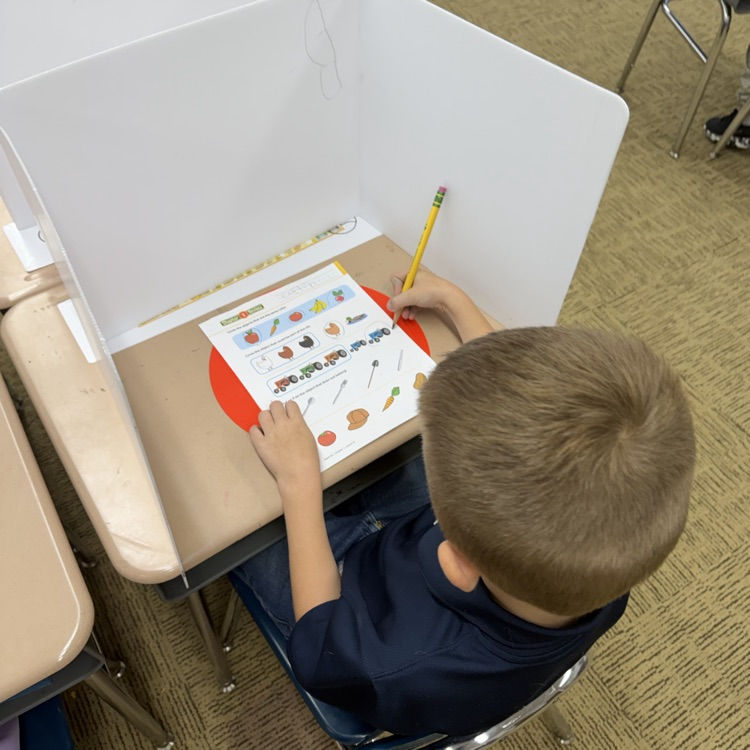 Mrs.G class practiced using privacy folders.