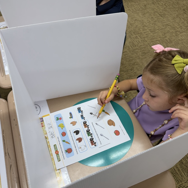 Mrs.G class practiced using privacy folders.
