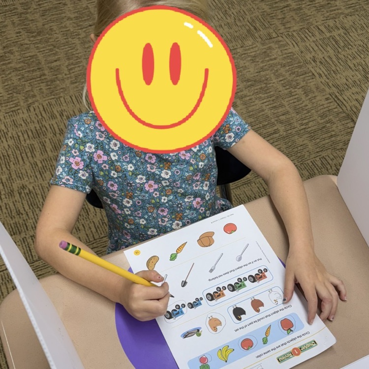 Mrs.G class practiced using privacy folders.