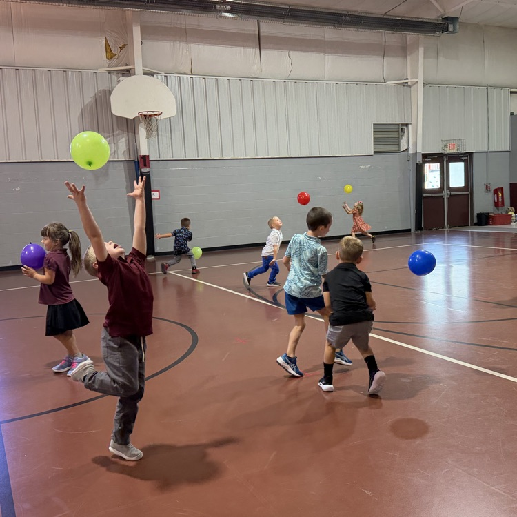 Volleyball
