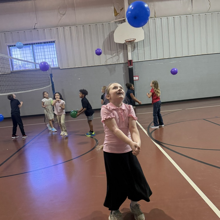 Volleyball