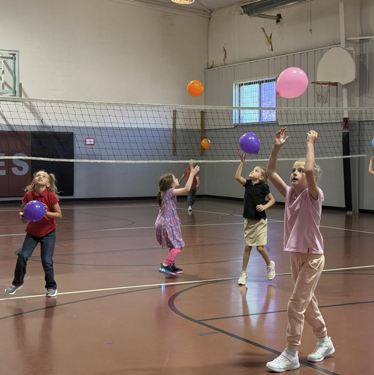 Volleyball
