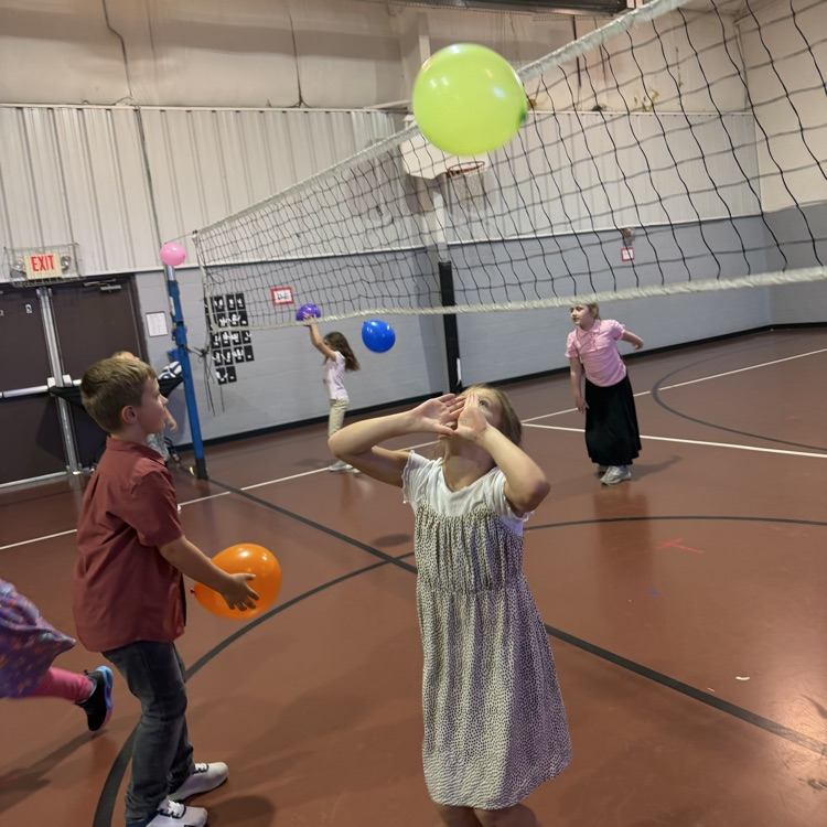 Volleyball