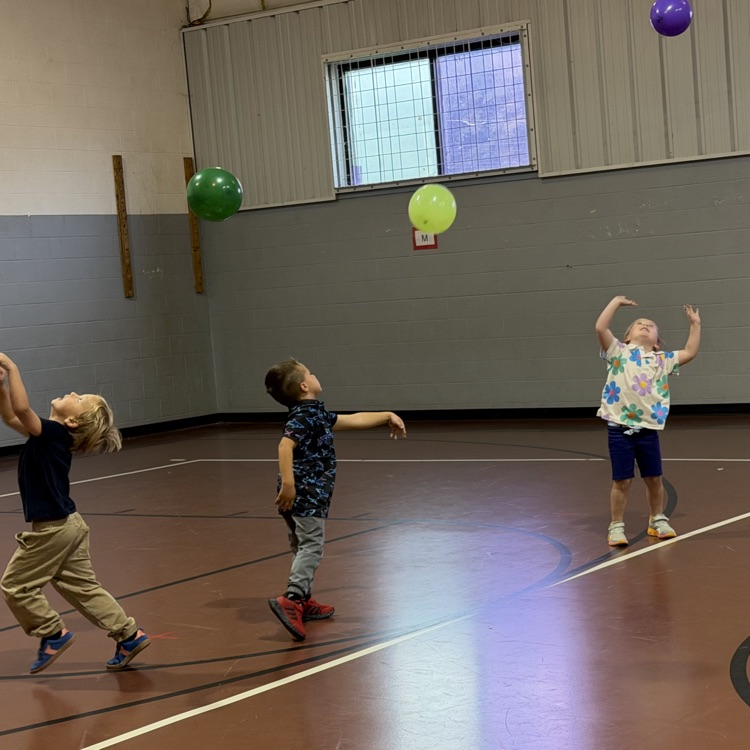 Volleyball