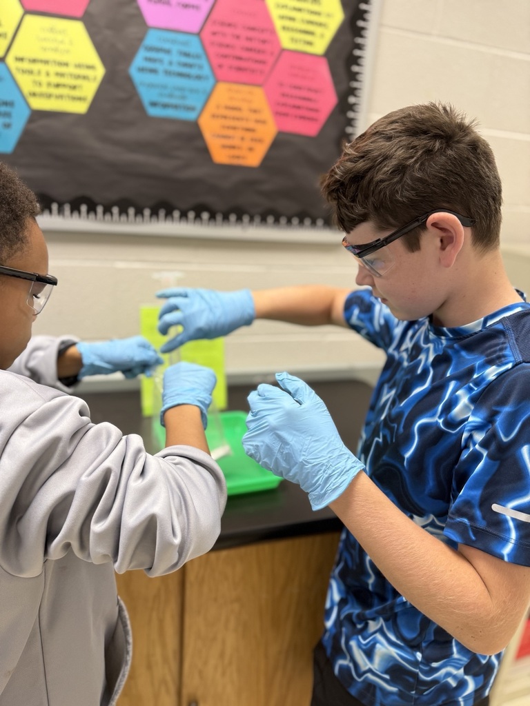 two students wearing gloves and glasses work with scientific reagents