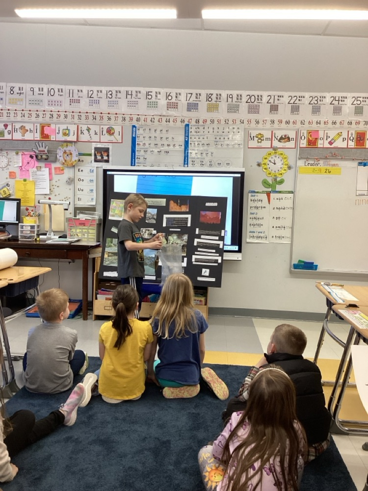 social studies project