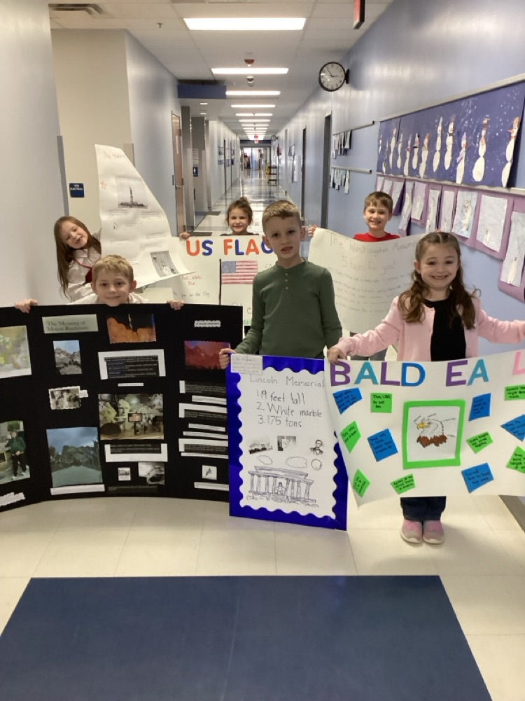 social studies project