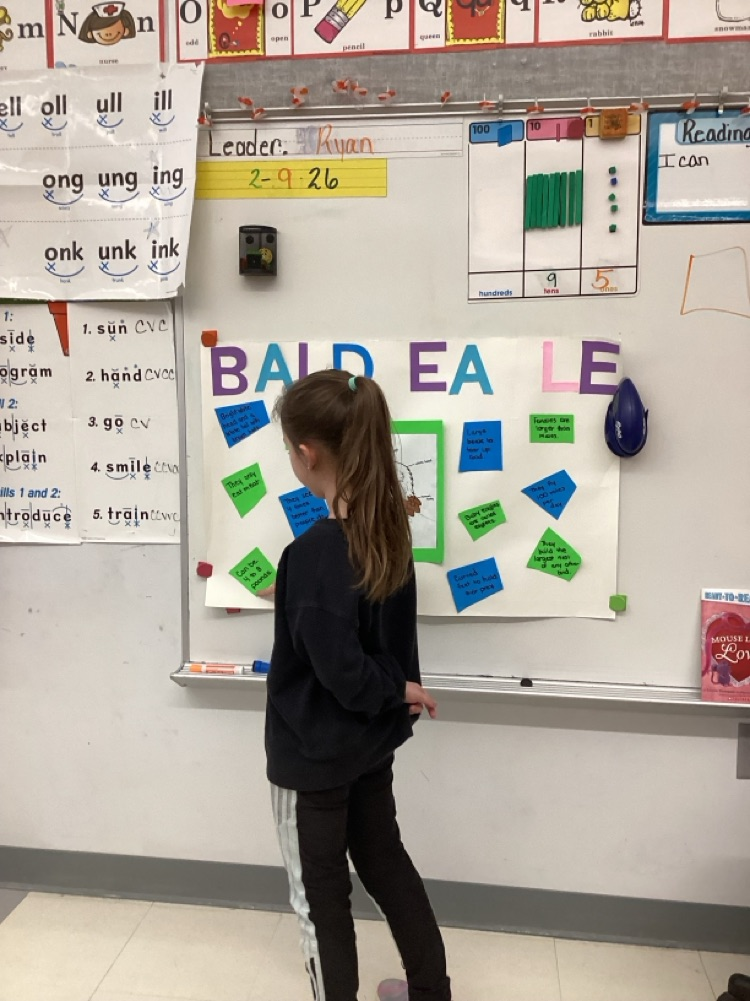 social studies project