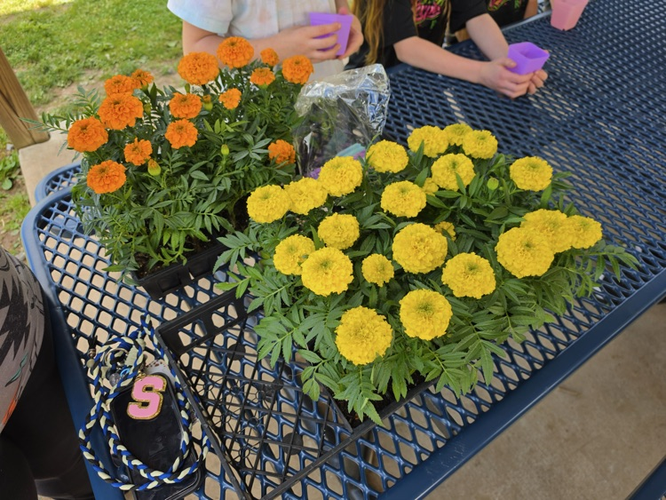 Mother’s day 