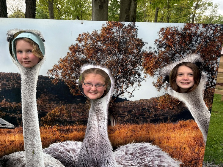hovatters zoo