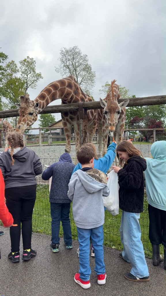 hovatters zoo