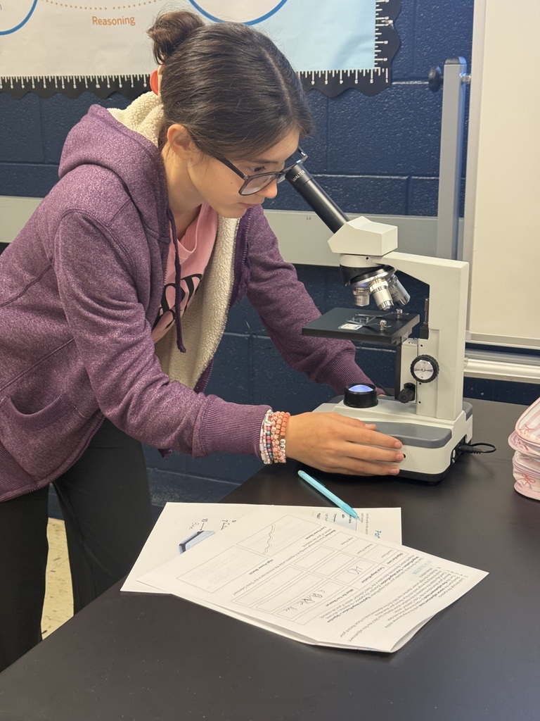 student making observations with microscopes