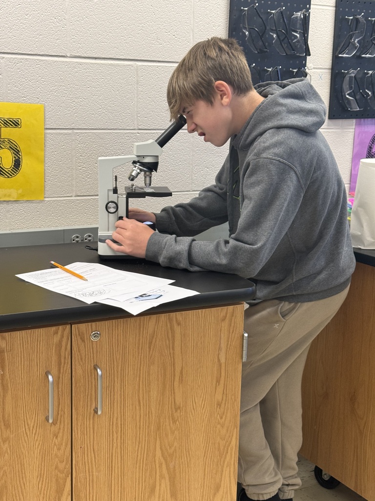 student making observations with microscopes