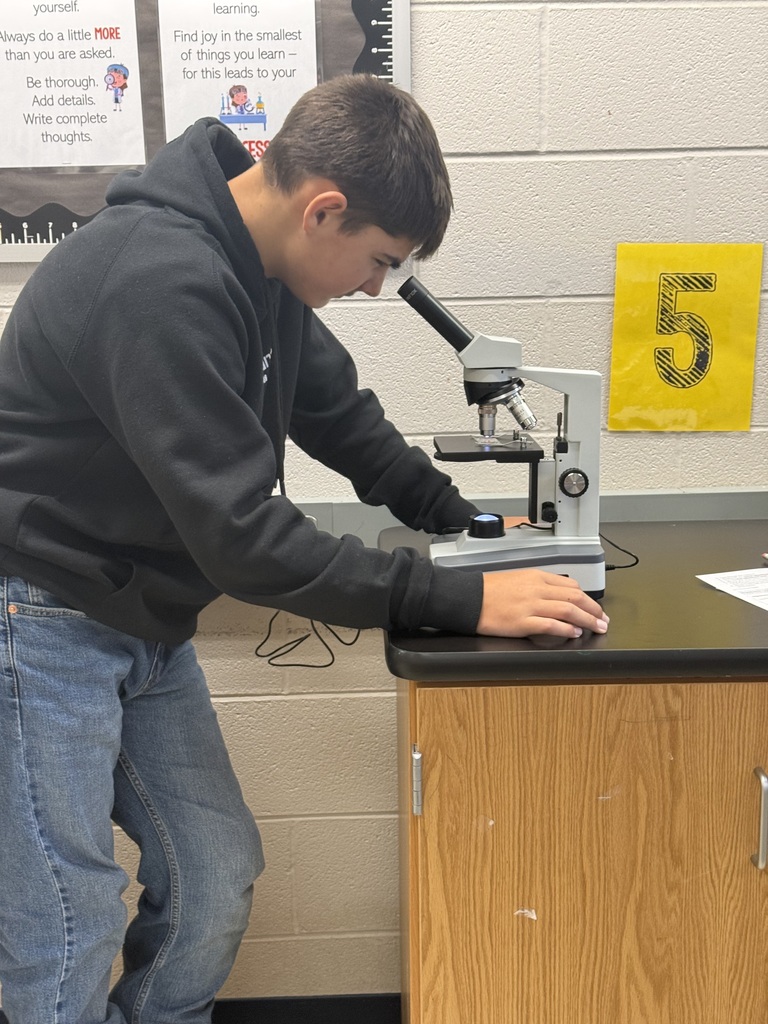 student making observations with microscopes