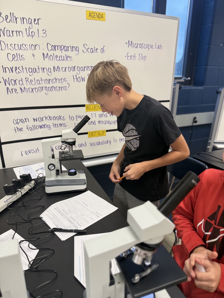student making observations with microscopes