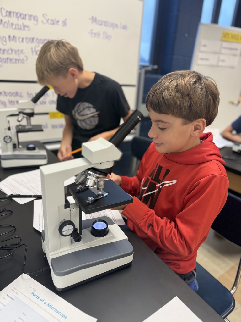student making observations with microscopes