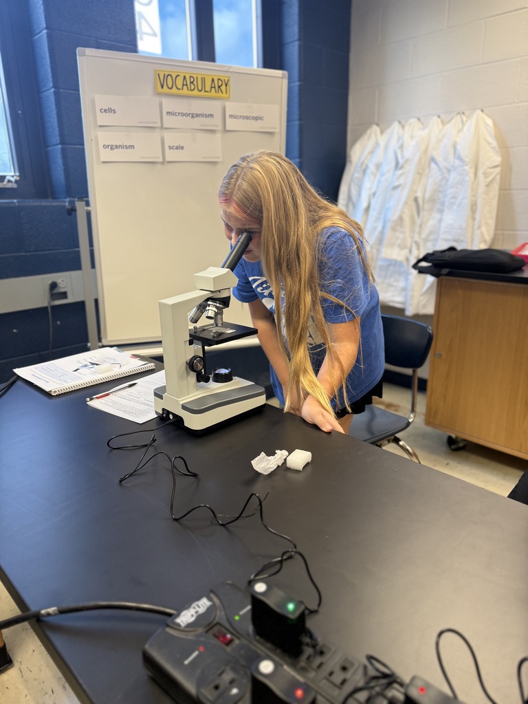 student making observations with microscopes