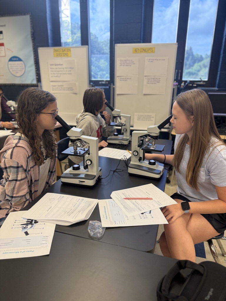 student making observations with microscopes