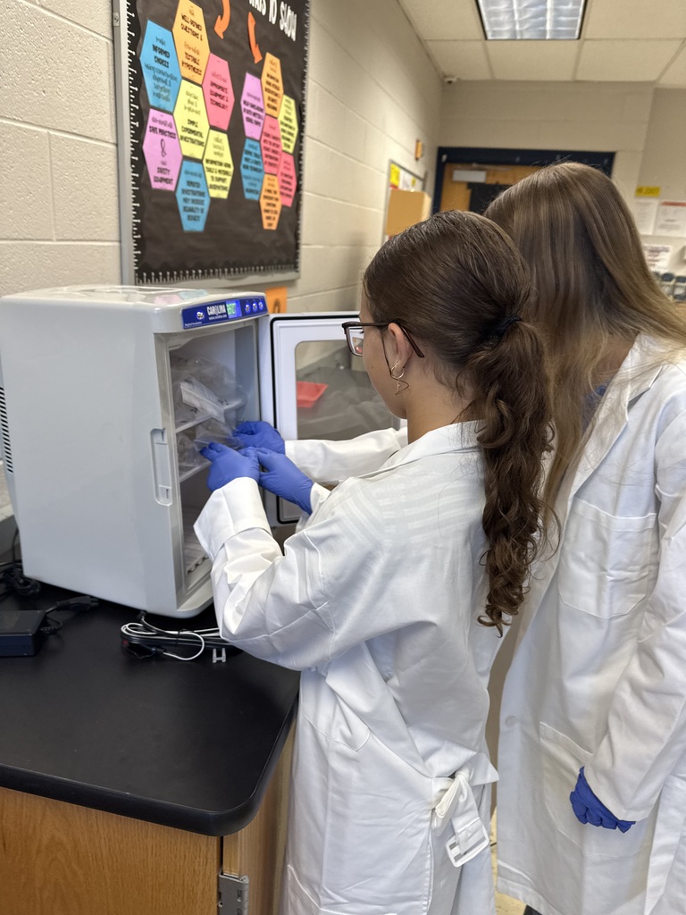 student putting samples into container